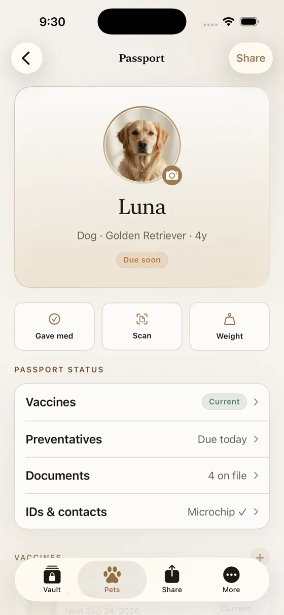 Passport: vaccines, preventatives, documents